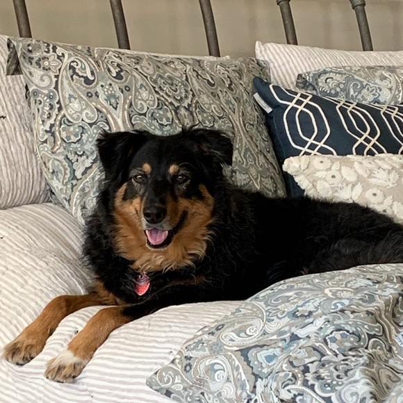 Meet your Posher, Christine - Picture 5 of 8